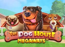 taylorbyte: The Dog House Megaways